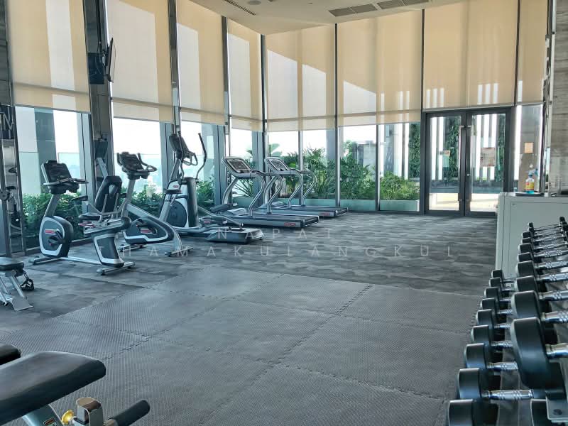 Rhythm Sukhumvit 42, Bangkok, Soi Sukhumvit 42, Sukhumvit Road, Phra Kanong, Khlong Toei, Bangkok, 1 Bedroom, 49 sqm, Condo For Rent, by Napat Thamakulangkul, 500366195 - DDproperty.com