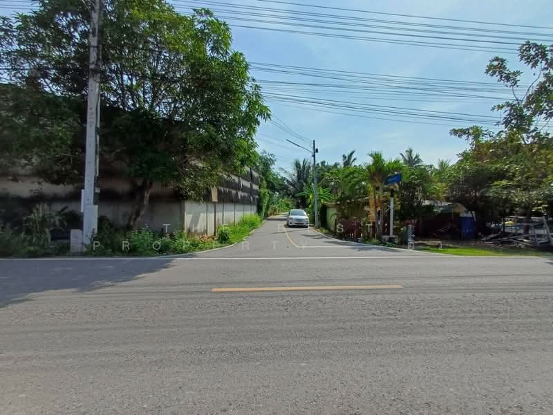 ที่ดินอัมพวา สมุทรสงคราม, Samut Songkhram, Plai Phongphang, Amphawa, Samut Songkhram, , 644 sqm, Land For Sale, by The Best Property   อิ๋ว, 500366259 - DDproperty.com