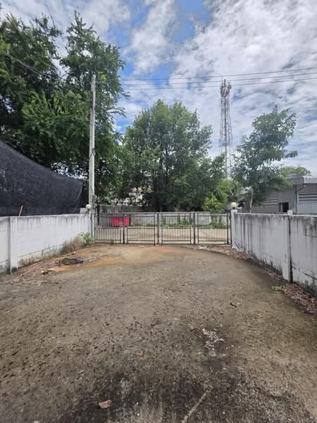 ทาวโฮมตรงข้าม อบต.หนองบัวศาลา, Nakhon Ratchasima, Nong Bua Sala, Muang Nakhon Ratchasima, Nakhon Ratchasima, 2 Bedrooms, 95 sqm, Townhouse For Sale, by พลิศภัสร์ โชคธนวีระกานต์, 500366366 - DDproperty.com