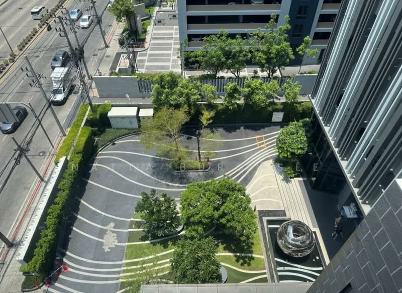 Rhythm Asoke, Bangkok, 299 Asoke - Dindaeng Road, Makkasan, Ratchathewi, Bangkok, 1 Bedroom, 31 sqm, Condo For Rent, by Natta Buromsee, 500366893 - DDproperty.com