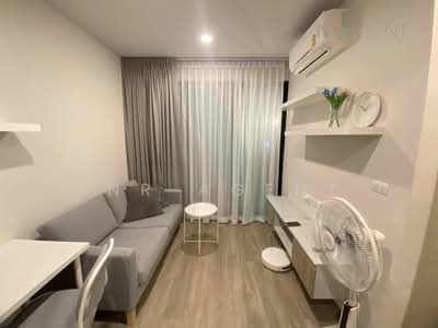 ขาย - Brixton Pet & Play Sukhumvit 107 : บริกซ์ตัน เพ็ทแอนด์เพลย์ สุขุมวิท 107, สมุทรปราการ
