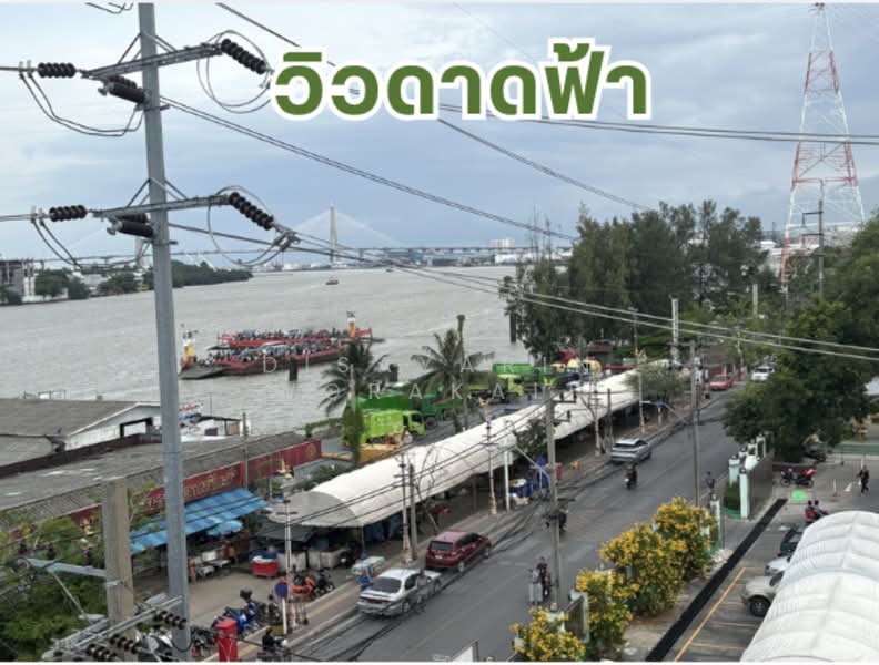 อาคารพาณิชย์ตลาดพระประแดง ถ.นครเขื่อนขันธ์, สมุทรปราการ, บางพึ่ง, พระประแดง, สมุทรปราการ, 68 ตร.ม., ตึกแถว-อาคารพาณิชย์ ขาย, โดย Disayarin Worakait, 500367050 - DDproperty.com