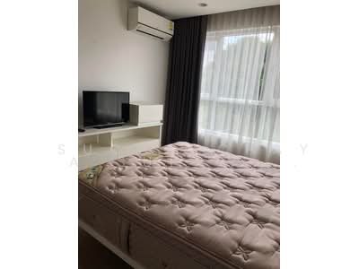 For Rent - The Avenue Sukumvit 61, Bangkok