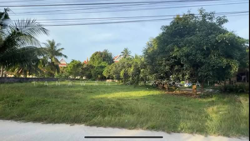 undefined, Surat Thani, Mae Nam, Ko Samui, Surat Thani, 2 Bedrooms, 90 sqm, Single Detached House For Sale, by Tanawan Surichai, 500367438 - DDproperty.com