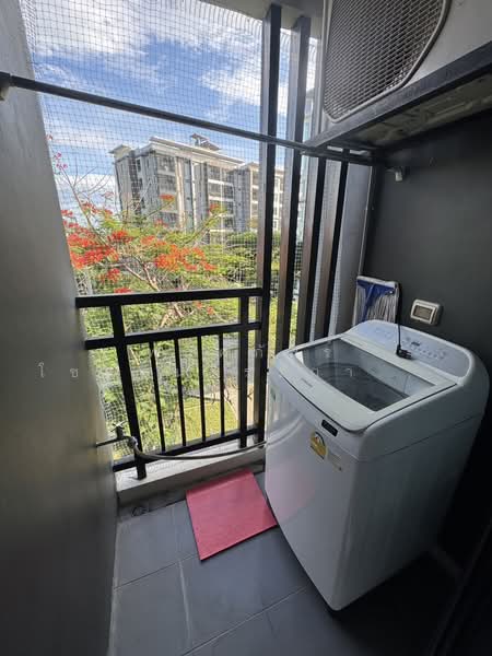 City Link Condo : ซิตี้ลิงค์ คอนโด, นครราชสีมา, ถนนมิตรภาพ, ในเมือง, เมืองนครราชสีมา, นครราชสีมา, 26 ตร.ม., คอนโด ให้เช่า, โดย พลิศภัสร์ โชคธนวีระกานต์, 500367482 - DDproperty.com