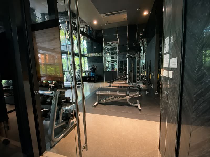 Quintara Treehaus Sukhumvit 42 : ควินทารา ทรีเฮาส์ สุขุมวิท 42, กรุงเทพ, ซอยบาร์โบส 2 ถนนสุขุมวิท 42, พระโขนง, คลองเตย, กรุงเทพ, 46 ตร.ม., คอนโด ให้เช่า, โดย Thananthorn Wongvarnkaseam, 500367509 - DDproperty.com