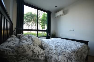 For Rent - Artemis Sukhumvit 77, Bangkok