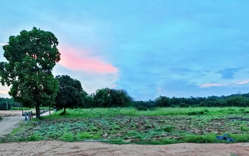 CYP224 Land for RENT, Chon Buri (Pattaya), Hua Tanon, Phanat Nikhom, Chon Buri (Pattaya), , 6,400 sqm, Land For Rent, by Zani ษณิ, 500367527 - DDproperty.com