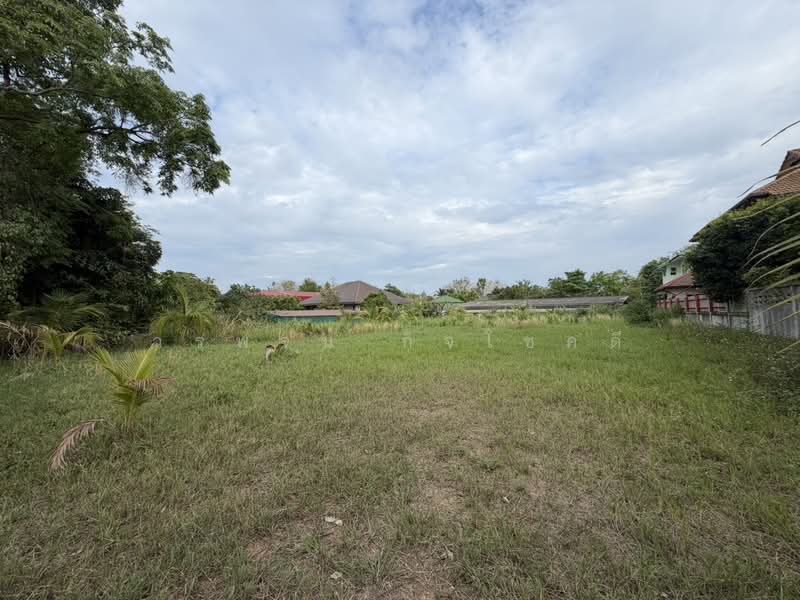 ที่ดินจัดสรรแม่ริม ใกล้ The Kad Farang, เชียงใหม่, แม่สา, แม่ริม, เชียงใหม่, 1,560 ตร.ม., ที่ดิน ขาย, โดย วรพจน์ กิจโชคดี, 500367564 - DDproperty.com