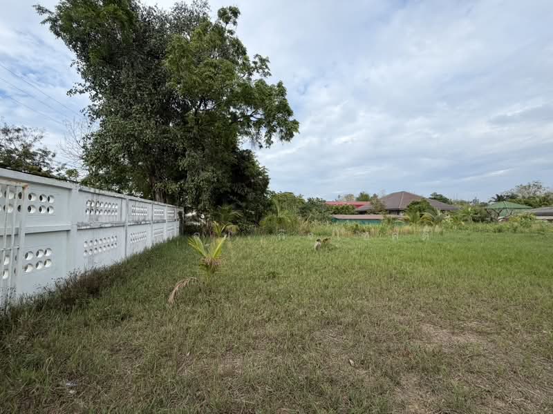 ที่ดินจัดสรรแม่ริม ใกล้ The Kad Farang, เชียงใหม่, แม่สา, แม่ริม, เชียงใหม่, 1,560 ตร.ม., ที่ดิน ขาย, โดย วรพจน์ กิจโชคดี, 500367564 - DDproperty.com