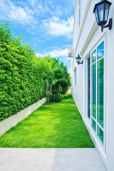 ไม่พบโครงการ, Samut Prakan, เทพารักษ์ กิ่วแก้ว, Bang Kaeo, Bang Plee, Samut Prakan, 4 Bedrooms, 145 sqm, Townhouse For Rent, by ณัฐพงศ์ สุนทรอรุณ, 500367583 - DDproperty.com