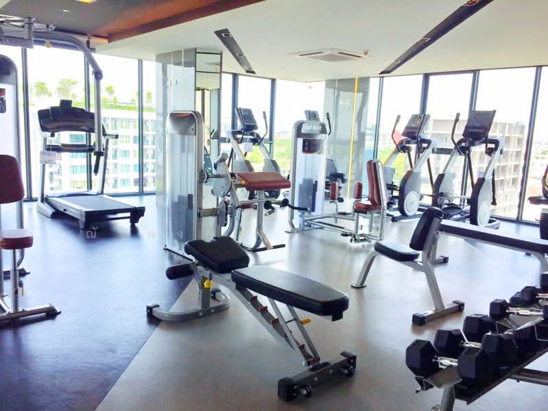 IDEO Sukhumvit 115, Samut Prakan, Sukhumvit 115 Road, Thepharak, Muang Samut Prakarn, Samut Prakan, 1 Bedroom, 35 sqm, Condo For Rent, by ณัฐพงศ์ สุนทรอรุณ, 500367611 - DDproperty.com