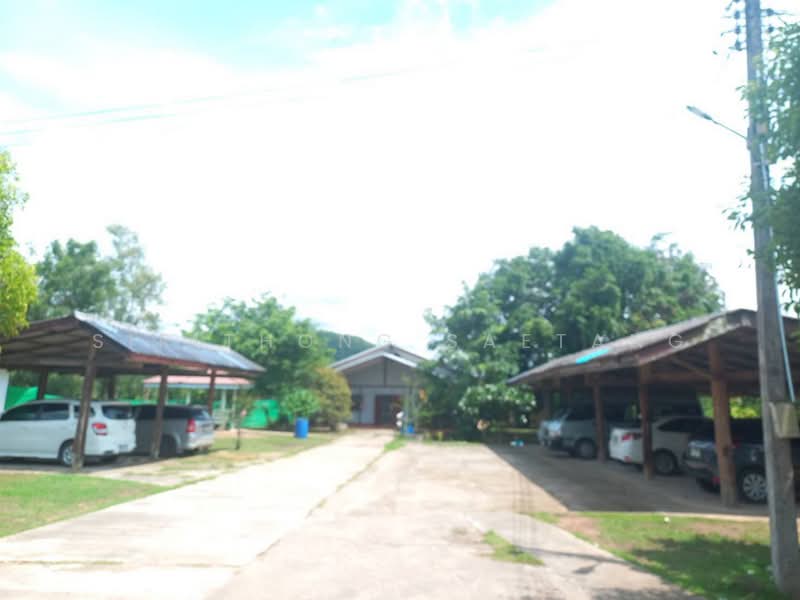 Land with house 9 unit 17-1-72 rai, Phra That Pha Daeng, Mae Sot, Tak, Tak, Phra That Pha Daeng, Mae Sod, Tak, , 27,888 sqm, Land For Sale, by Sirithong Saetang, 500367655 - DDproperty.com