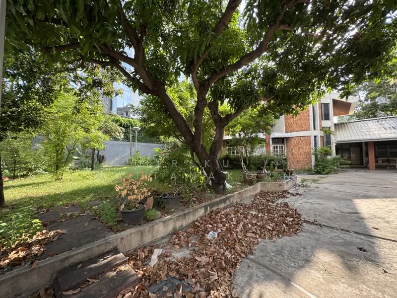 Detached House- Just 800m from BTS Thonglor, Ideal for commercial use, Bangkok, Khong Tan, Khlong Toei, Bangkok, , 400 sqm, Retail Space For Rent, by Sirikul Wattanakorn, 500367661 - DDproperty.com