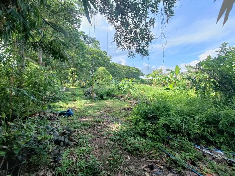 ศิลาพรวิลล์ เฟส1 จันทบุรี, Chanthaburi, Ko Khwang, Muang Chanthaburi, Chanthaburi, , 712 sqm, Land For Sale, by The Best Property ใหม่, 500367662 - DDproperty.com