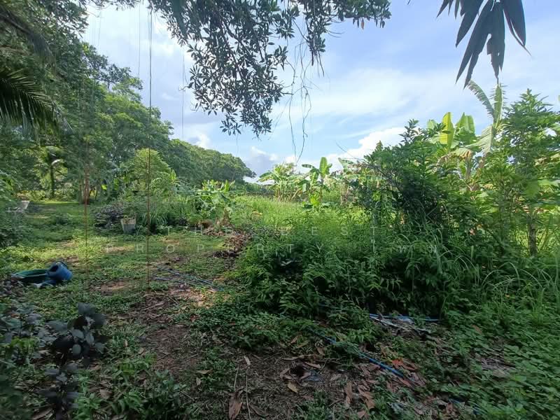 ศิลาพรวิลล์ เฟส1 จันทบุรี, จันทบุรี, เกาะขวาง, เมืองจันทบุรี, จันทบุรี, 712 ตร.ม., ที่ดิน ขาย, โดย The Best Property ใหม่, 500367662 - DDproperty.com