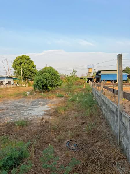Land for sale in Pong, Pattaya, 204 square wa Near Mab Prachan Reservoir - 1 km, Bang Lamung Distric, Chon Buri (Pattaya), Poong, Bang Lamung (Pattaya), Chon Buri (Pattaya), , 816 sqm, Land For Sale, by RICHWELL INTERPLUS, 500367663 - DDproperty.com