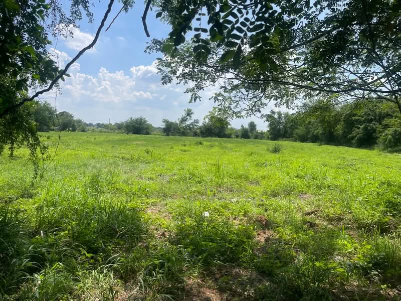 ที่ดินดอนหัน ขอนแก่น, Khon Kaen, Don Han, Muang Khon Kaen, Khon Kaen, , 25,032 sqm, Land For Sale, by The Best Property โมทย์, 500367673 - DDproperty.com