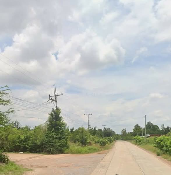 ที่ดินชุมแพ ขอนแก่น, Khon Kaen, Nong Phai, Chum Phae, Khon Kaen, , 960 sqm, Land For Sale, by The Best Property ต้นอ้อ, 500367684 - DDproperty.com