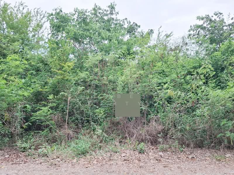 ที่ดินกำแพงแสน นครปฐม, Nakhon Pathom, Tarang Phikul, Kamphaeng Saen, Nakhon Pathom, , 388 sqm, Land For Sale, by The Best Property มีมี่, 500367701 - DDproperty.com