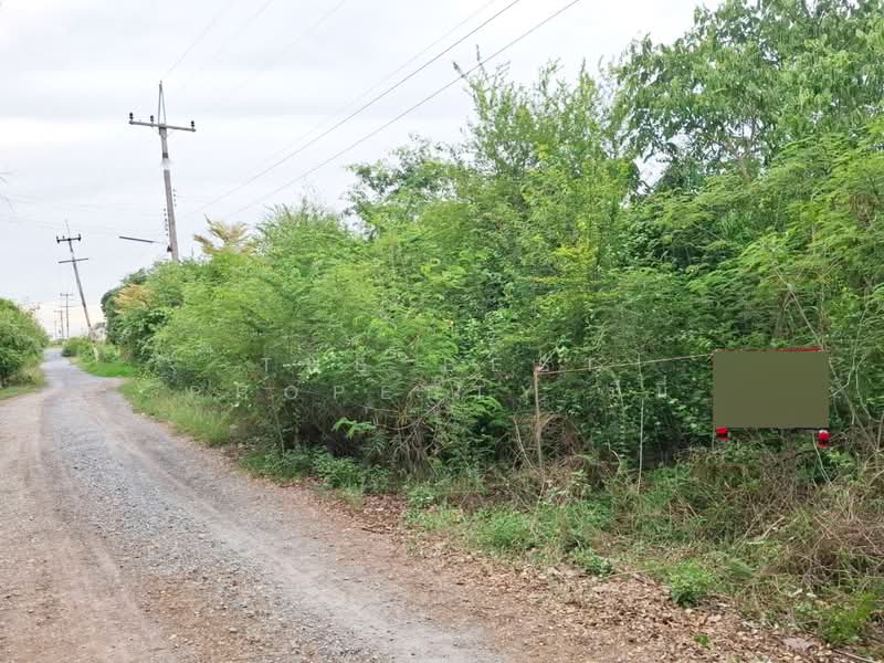 ที่ดินกำแพงแสน นครปฐม, Nakhon Pathom, Tarang Phikul, Kamphaeng Saen, Nakhon Pathom, , 388 sqm, Land For Sale, by The Best Property มีมี่, 500367701 - DDproperty.com