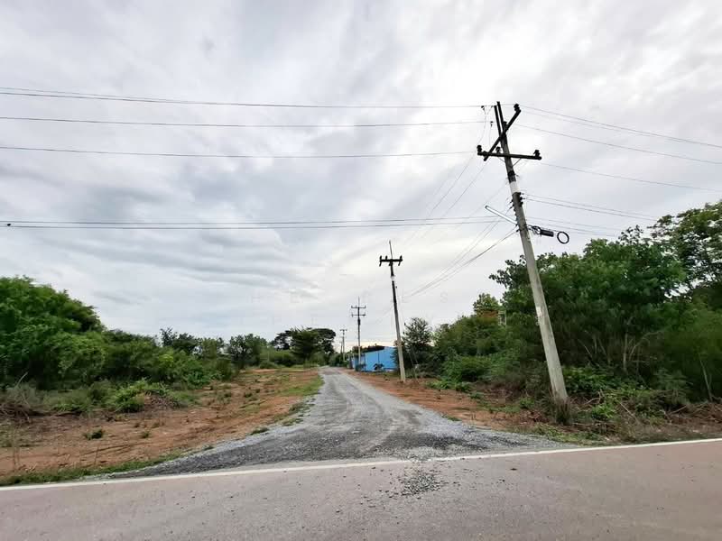 ที่ดินกำแพงแสน นครปฐม, นครปฐม, รางพิกุล, กำแพงแสน, นครปฐม, 388 ตร.ม., ที่ดิน ขาย, โดย The Best Property มีมี่, 500367701 - DDproperty.com