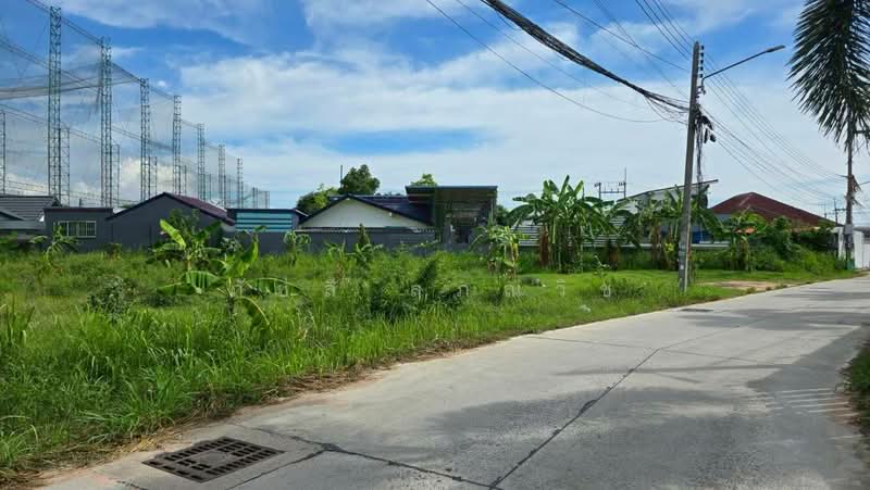 หนองปรือ, ชลบุรี, หนองปรือ, บางละมุง, ชลบุรี, 2,704 ตร.ม., ที่ดิน ขาย, โดย ภัชลี ลภณวิช, 500367706 - DDproperty.com