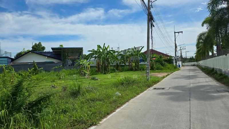 หนองปรือ, ชลบุรี, หนองปรือ, บางละมุง, ชลบุรี, 2,704 ตร.ม., ที่ดิน ขาย, โดย ภัชลี ลภณวิช, 500367706 - DDproperty.com