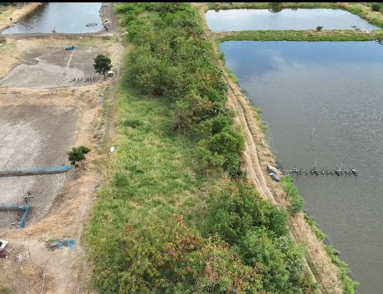 ที่ดินบางปะกง ฉะเชิงเทรา, Chachoengsao, Song Khlong, Bang Pakong, Chachoengsao, , 8,300 sqm, Land For Sale, by The Best Property ต่อ, 500367722 - DDproperty.com