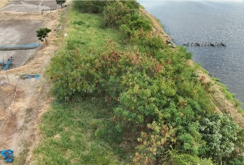 ที่ดินบางปะกง ฉะเชิงเทรา, Chachoengsao, Song Khlong, Bang Pakong, Chachoengsao, , 8,300 sqm, Land For Sale, by The Best Property ต่อ, 500367722 - DDproperty.com