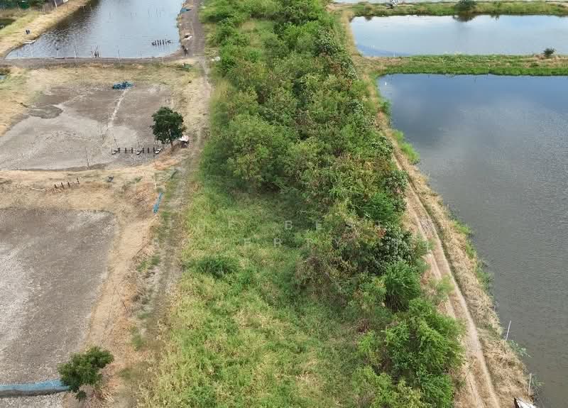 ที่ดินบางปะกง ฉะเชิงเทรา, Chachoengsao, Song Khlong, Bang Pakong, Chachoengsao, , 8,300 sqm, Land For Sale, by The Best Property ต่อ, 500367722 - DDproperty.com