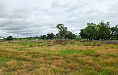 ขาย - ที่ดินเทิง เชียงราย, เชียงราย