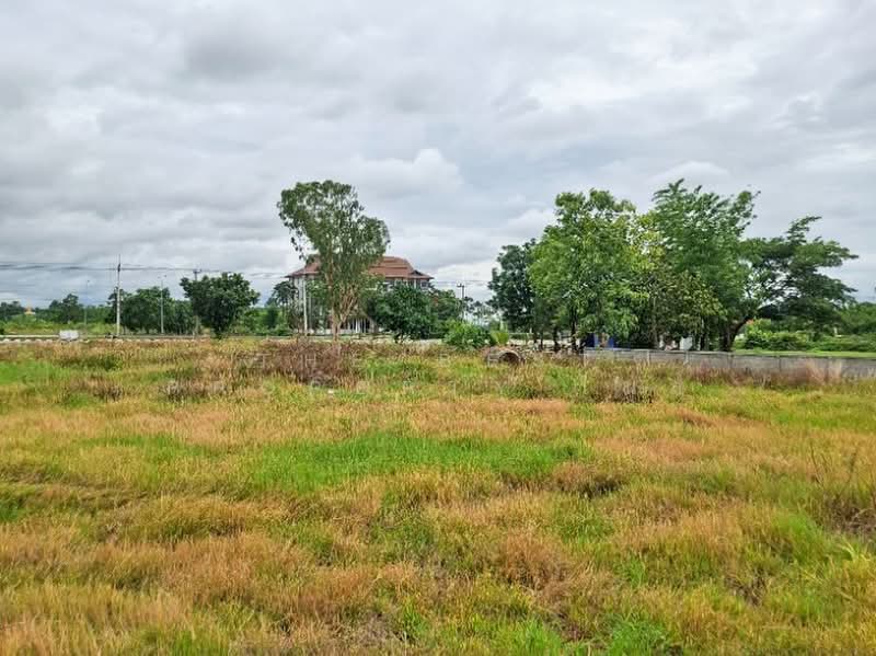 ที่ดินเทิง เชียงราย, เชียงราย, งิ้ว, เทิง, เชียงราย, 8,368 ตร.ม., ที่ดิน ขาย, โดย The Best Property ไนล์, 500367741 - DDproperty.com