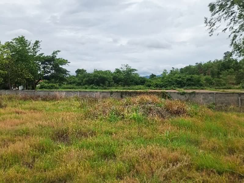ที่ดินเทิง เชียงราย, Chiang Rai, Ngiu, Thoeng, Chiang Rai, , 8,368 sqm, Land For Sale, by The Best Property ไนล์, 500367741 - DDproperty.com