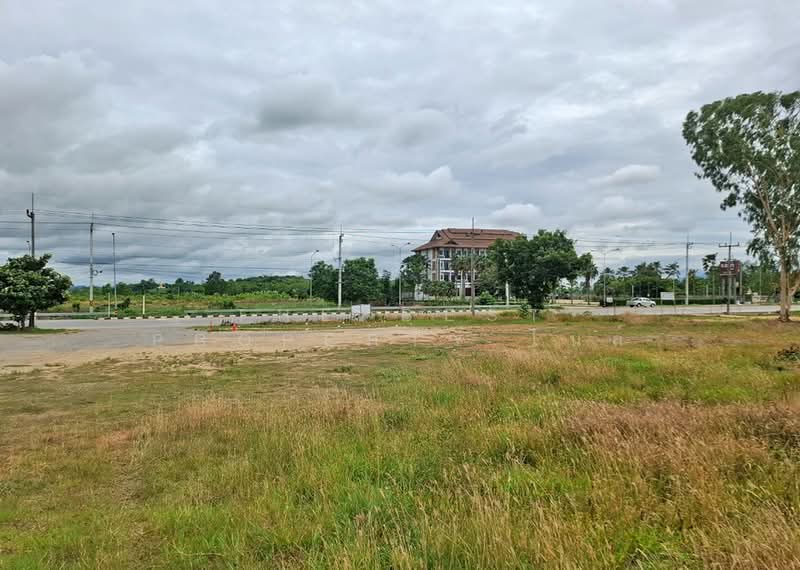 ที่ดินเทิง เชียงราย, Chiang Rai, Ngiu, Thoeng, Chiang Rai, , 8,368 sqm, Land For Sale, by The Best Property ไนล์, 500367741 - DDproperty.com