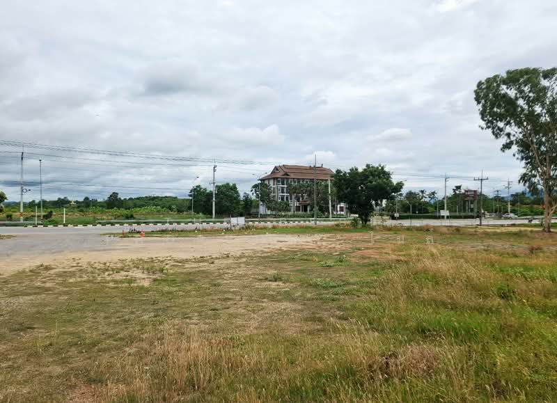 ที่ดินเทิง เชียงราย, เชียงราย, งิ้ว, เทิง, เชียงราย, 8,368 ตร.ม., ที่ดิน ขาย, โดย The Best Property ไนล์, 500367741 - DDproperty.com