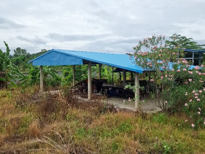 ที่ดินเทิง เชียงราย, Chiang Rai, Ngiu, Thoeng, Chiang Rai, , 8,368 sqm, Land For Sale, by The Best Property ไนล์, 500367741 - DDproperty.com