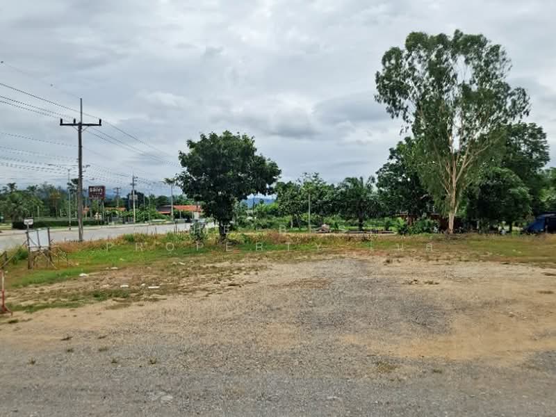 ที่ดินเทิง เชียงราย, Chiang Rai, Ngiu, Thoeng, Chiang Rai, , 8,368 sqm, Land For Sale, by The Best Property ไนล์, 500367741 - DDproperty.com