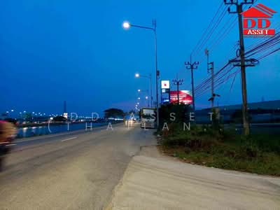 ขาย - ขายที่ดินเปล่า ติดถนนเลียบคลองส่งน้ำสุวรรณภูมิ แปลงมุม ทำเลสวย รหัสทรัพย์ : L8066, สมุทรปราการ