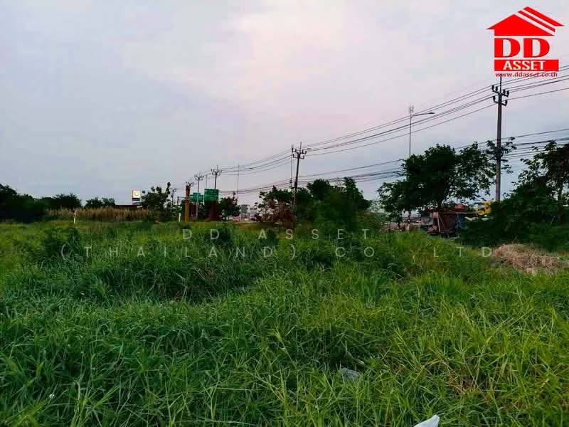 ขายที่ดินเปล่า ติดถนนเลียบคลองส่งน้ำสุวรรณภูมิ แปลงมุม ทำเลสวย รหัสทรัพย์ : L8066, Samut Prakan, Bang Pla, Bang Plee, Samut Prakan, , 5,336 sqm, Land For Sale, by DD Asset (Thailand) Co.,Ltd, 500367745 - DDproperty.com