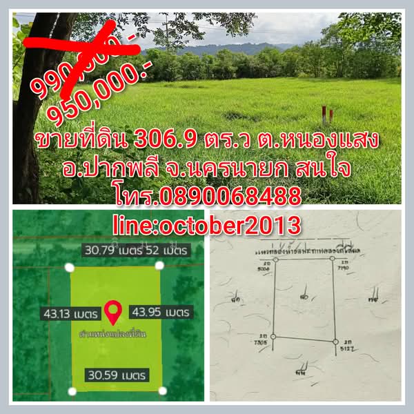 ปากพลี, นครนายก, หนองแสง, ปากพลี, นครนายก, 1,228 ตร.ม., ที่ดิน ขาย, โดย บุญจันทร์ ฉิมมารักษ์, 500367767 - DDproperty.com