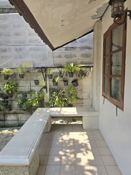 ไม่พบโครงการ, Bangkok, สุขุมวิท42, Phra Kanong, Khlong Toei, Bangkok, 1 Bedroom, 180 sqm, Single Detached House For Rent, by กุลจิรา อภัยโส, 500367794 - DDproperty.com