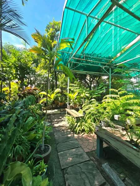 ไม่พบโครงการ, Bangkok, สุขุมวิท42, Phra Kanong, Khlong Toei, Bangkok, 1 Bedroom, 180 sqm, Single Detached House For Rent, by กุลจิรา อภัยโส, 500367794 - DDproperty.com