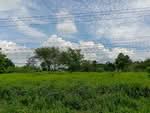 ที่ดินบางระกำ พิษณุโลก, พิษณุโลก