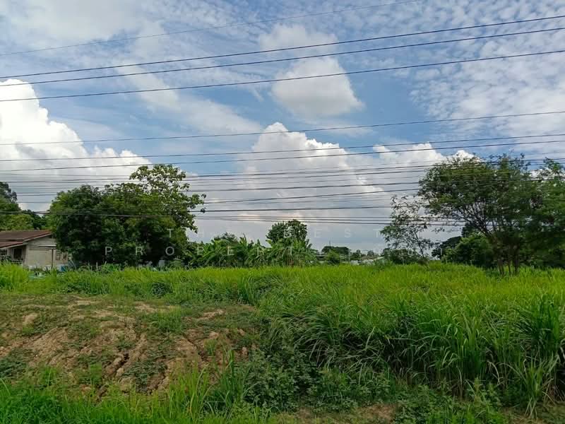 ที่ดินบางระกำ พิษณุโลก, Phitsanulok, Bang Rakam, Phitsanulok, , 1,744 sqm, Land For Sale, by The Best Property ณิชา, 500367806 - DDproperty.com