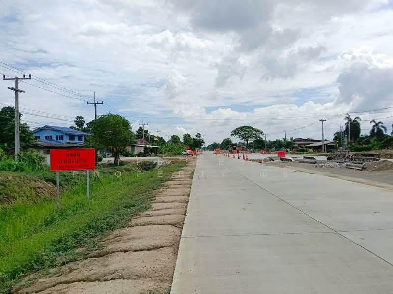 ที่ดินบางระกำ พิษณุโลก, Phitsanulok, Bang Rakam, Phitsanulok, , 1,744 sqm, Land For Sale, by The Best Property ณิชา, 500367806 - DDproperty.com