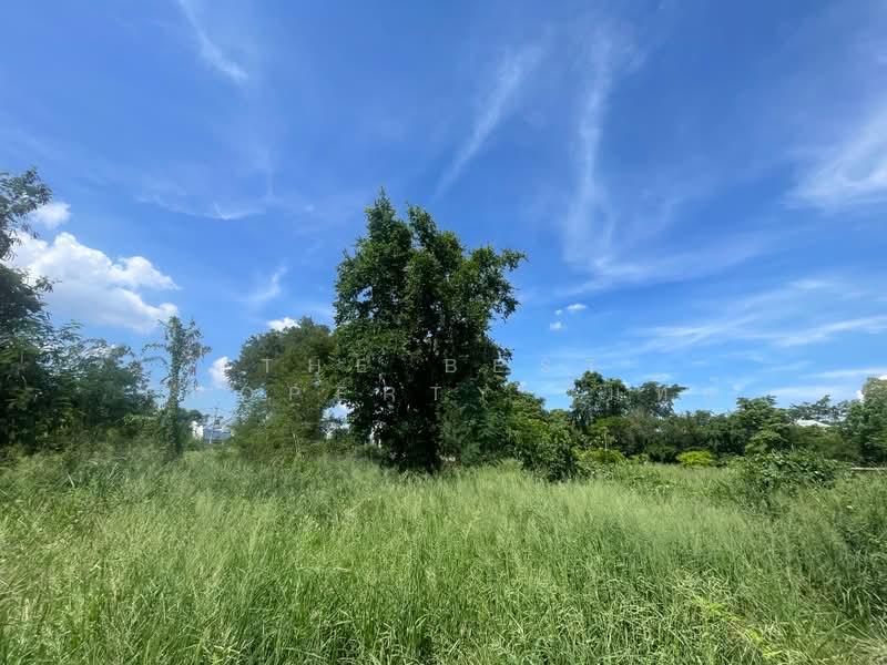 ที่ดินเมืองเก่า ขอนแก่น, ขอนแก่น, เมืองเก่า, เมืองขอนแก่น, ขอนแก่น, 8,028 ตร.ม., ที่ดิน ขาย, โดย The Best Property โมทย์, 500367814 - DDproperty.com