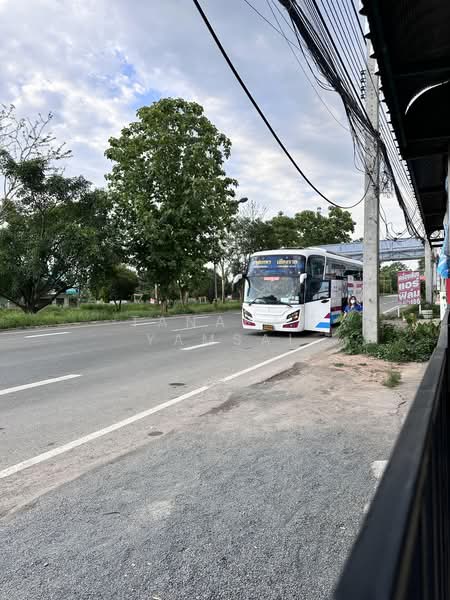 พาน, เชียงราย, หมายเลข 1, เมืองพาน, พาน, เชียงราย, 210 ตร.ม., ตึกแถว-อาคารพาณิชย์ ขาย, โดย Tanapat Yamsai, 500367848 - DDproperty.com