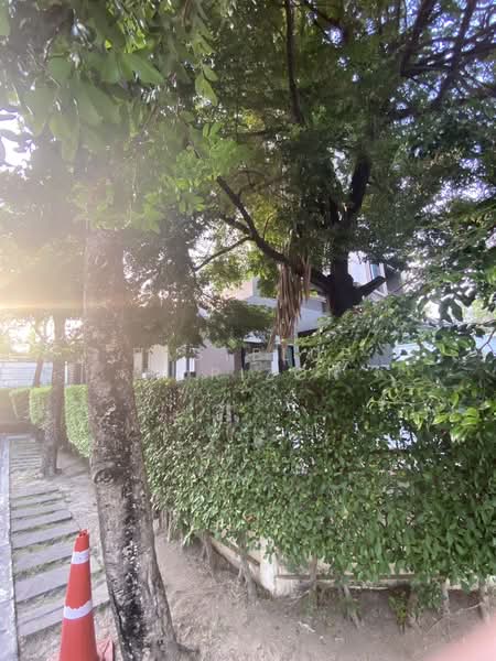 Baan Klang Muang Kalpapruek : บ้านกลางเมือง กัลปพฤกษ์, กรุงเทพ, ถนนศาลธนบุรี, บางหว้า, ภาษีเจริญ, กรุงเทพ, 180 ตร.ม., ทาวน์เฮ้าส์ ขาย, โดย Eastblue Horizon, 500367856 - DDproperty.com