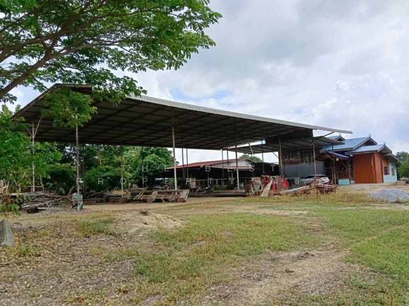 ที่ดินบางระกำ พิษณุโลก, Phitsanulok, Bang Rakam, Phitsanulok, , 65,632 sqm, Land For Sale, by The Best Property ณิชา, 500367858 - DDproperty.com